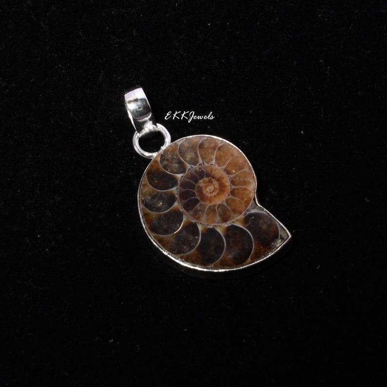Puede incluir: Un colgante con un f&oacute;sil de amonita en espiral de tonos marrones y bronce oscuro, engastado en metal plateado. El f&oacute;sil muestra un patr&oacute;n de c&aacute;maras distintivo. El texto EKKJewels aparece impreso en blanco sobre el colgante.