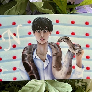 Vixx N - Etsy