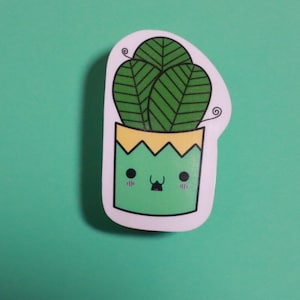Kawaii Green Potted Plant with Big Leafs