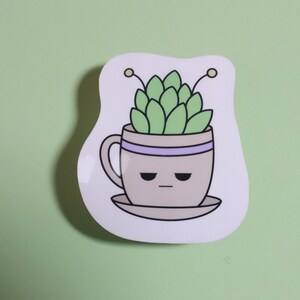 Kawaii Succulent