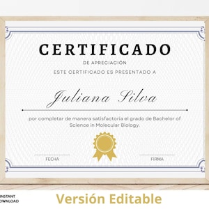 Certificado de Apreciación Editable / Plantilla de Premio de Logro / Certificado Imprimible Personalizable Premio de Reconocimiento