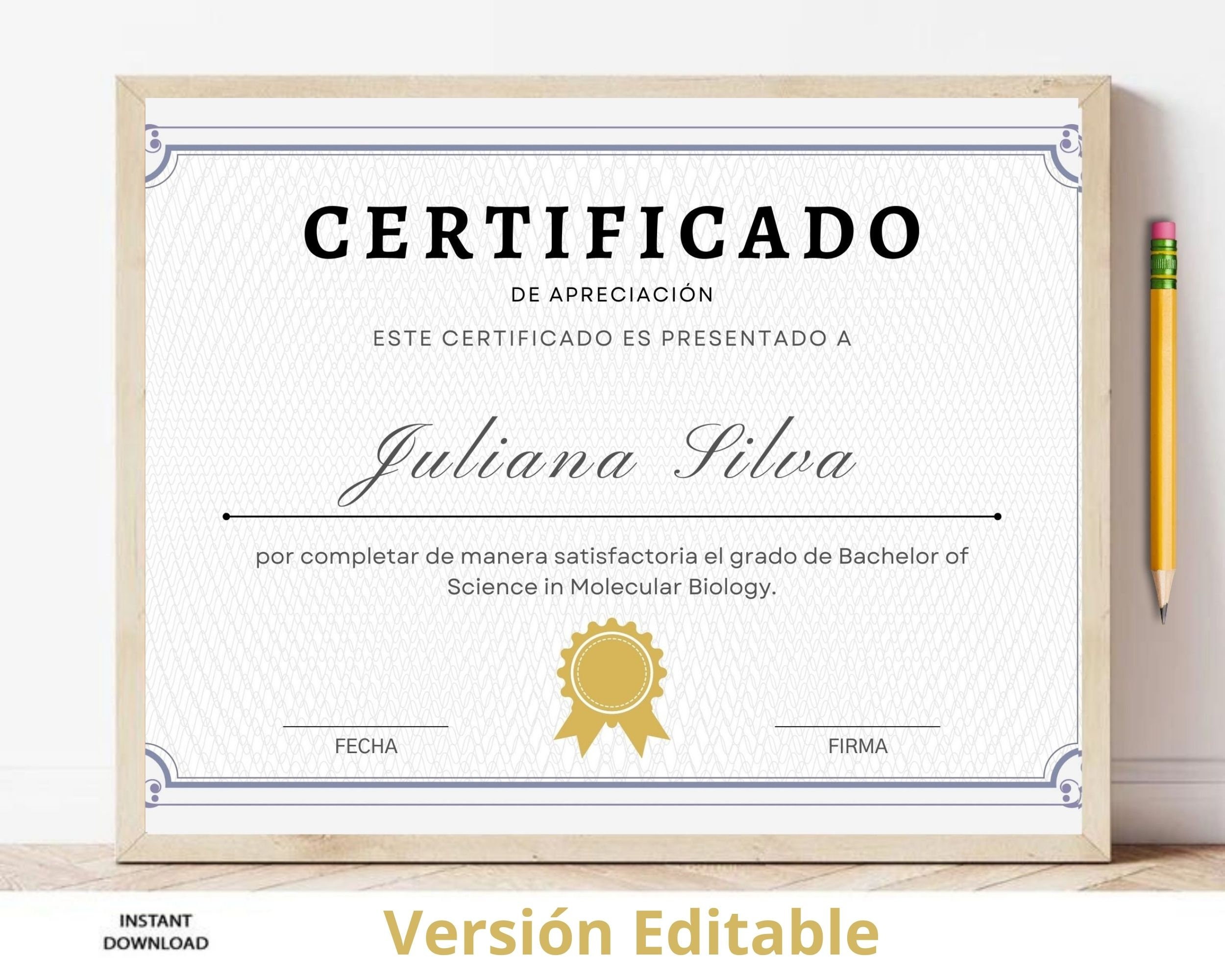 Certificado De Apreciación Premio De Reconocimiento Modelo - Etsy