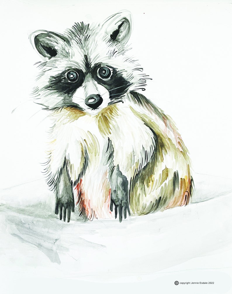 Raccoon Printable Art image 2