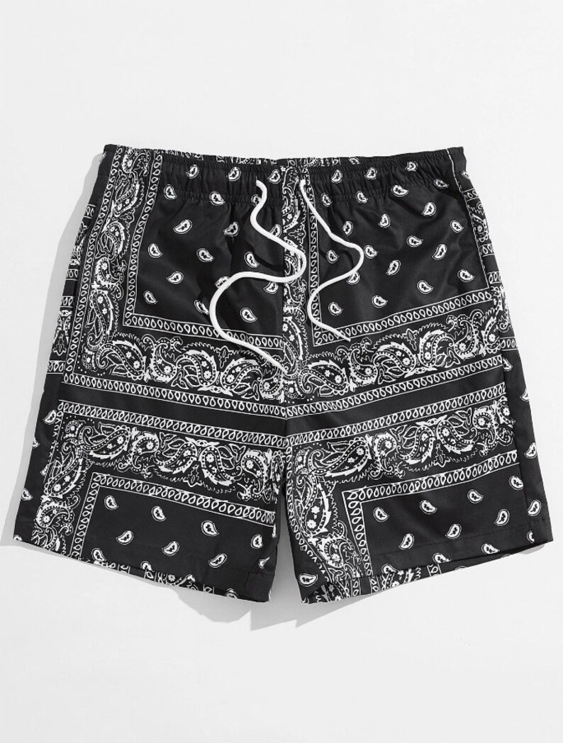 Men Drawstring Waist Paisley Print Shorts 