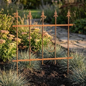May include: A decorative, rusty brown metal garden fence panel. The panel features vertical bars topped with fleur-de-lis finials, horizontal bars, and a central heart-shaped scroll design. The fence is set in a garden bed with green and brown plants.