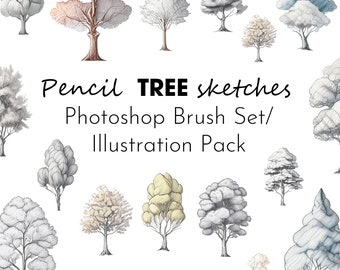 Photoshop Brush Set PENCIL TREES abr + png + jpg / Illustration pack / High resolution brushes / archibicc / digital download / clipart