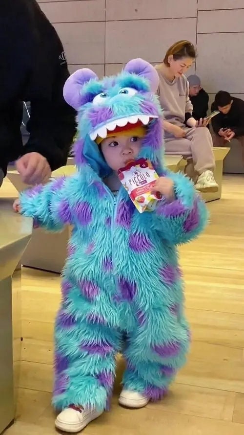Monsters inc sully costume cheap