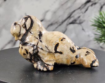Picture Jasper Seal - reconnecting with our planet