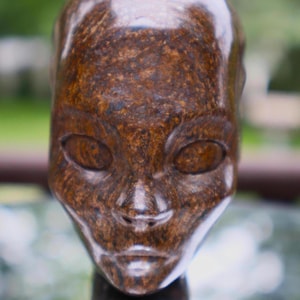 Elfe de la nuit en bronzite : le meilleur chemin à parcourir