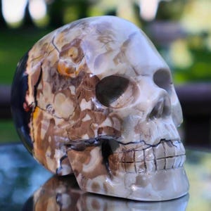 以下が含まれることがあります： 詳細な手彫りの頭蓋骨彫刻。頭蓋骨は、茶色、タン、クリーム色の自然な石の模様が特徴です。頭蓋骨の表面には、独特の古びた外観を付加する、目に見えるひび割れや亀裂があります。歯は明確に定義されています。