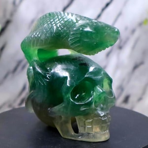 以下が含まれることがあります： 魚のような生き物がアーチ状に覆いかぶさっている頭蓋骨の彫刻。彫刻は半透明の緑色の石でできており、魚と頭蓋骨には詳細が彫られています。頭蓋骨には眼窩と歯が見えます。彫刻は黒い表面に展示されています。