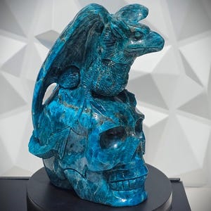 Blue Apatite Skull with Dragon, 6.3 LBS