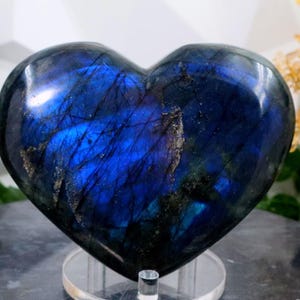 Könnte beinhalten: Ein herzförmiger Labradoritstein mit polierter, glänzender Oberfläche. Der Stein zeigt ein lebendiges blaues Schillern mit dunklen Adern und Einschlüssen. Der Edelstein wird auf einem transparenten Ständer präsentiert.