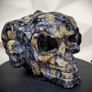 May include: A carved skull sculpture with a detailed design. The skull is primarily dark blue and black with tan and gold accents. The sculpture has a polished, glossy finish and is displayed on a black surface.