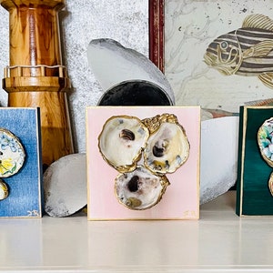 Oyster Shell Cluster of Three on Wood Box