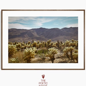 Cholla Cactus Garden, Mojave Desert, Joshua Tree Photography, Digital Download, Bohemian Wall Art, Printable Photograph