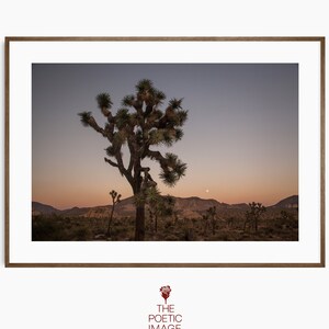 Joshua Tree Sunset, Ryan Mountain, Hidden Valley, Yucca Digital Print, California Wall Art, Desert Landscape