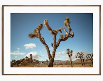 Yucca Tree Digital Print, Joshua Tree Desert, California Desert Photography, Desert Landscape, Digital Printable Wall Art