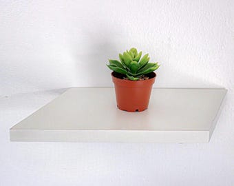 May include: A small, green succulent plant in a brown pot sits on a white shelf. The shelf is mounted on a white wall. The plant has multiple green leaves and is in a small, round pot.