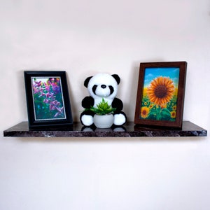 Puede incluir: Un peluche de panda blanco y negro sosteniendo una peque&ntilde;a planta verde en una maceta blanca. El panda est&aacute; sentado en un estante negro con dos cuadros enmarcados, uno con un dise&ntilde;o floral y el otro con un girasol.