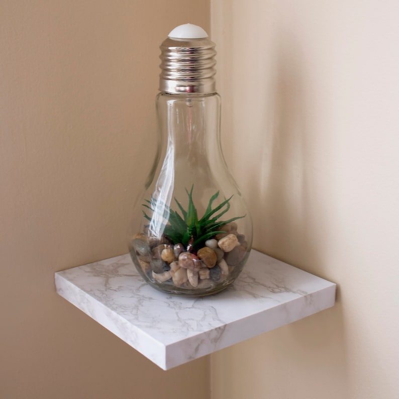 May include: A clear glass light bulb vase with a silver top, filled with small stones and a green succulent plant, sits on a white marble shelf.