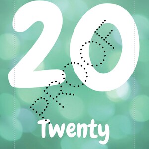 1-20 Number Posters