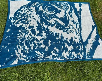 Woodland Owl Overlay Mosaic Crochet Pattern