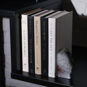 May include: A collection of hardcover books with titles including "The Last Palace" and "The Last Leonardo" on a black shelf. A decorative stone bookend is placed next to the books. The books have various colors and fonts.