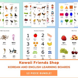 May include: A set of 12 colourful learning boards featuring Korean and English words for various objects, including sea animals, numbers, and fruits. Each board has a cute cartoon illustration and the Korean and English names for the object.