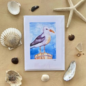 Cartão para todas as ocasiões Seagull 5x7 em branco por dentro