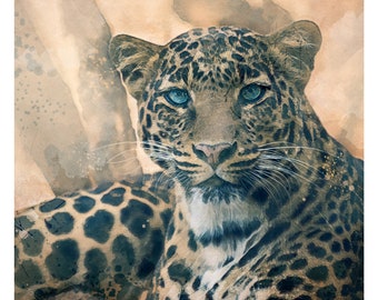 Leopard