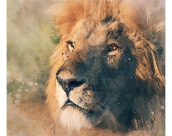 Male Lion Fine Art Watercolour Print