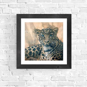 Op de afbeelding: Een ingelijste print van een aquarel van een luipaard met blauwe ogen. De luipaard ligt neer en kijkt recht naar de kijker. De achtergrond is lichtbruin met een aquareleffect.