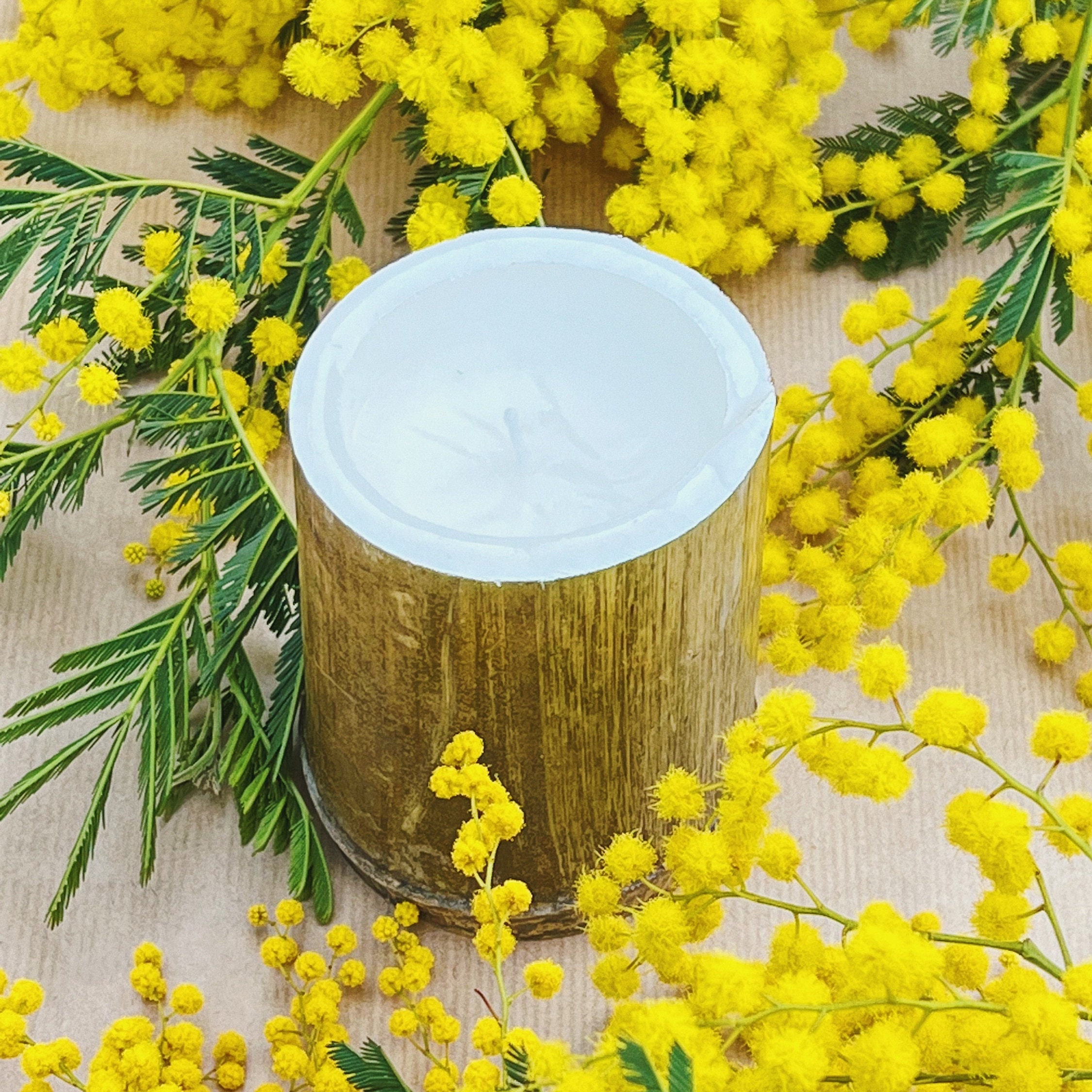 Bougie en Bambou X Mimosa