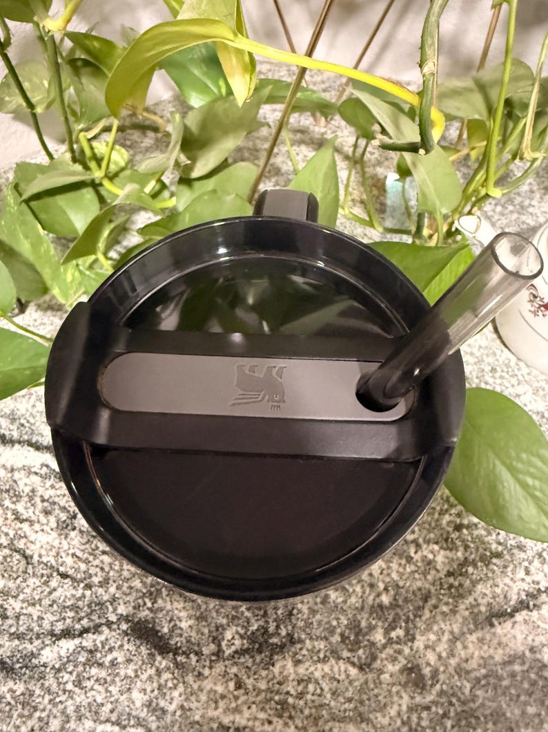 Puede incluir: Un termo negro con tapa gris oscuro y pajita transparente. La tapa tiene cierre deslizante y un peque&ntilde;o logotipo. La taza est&aacute; rodeada de plantas verdes.