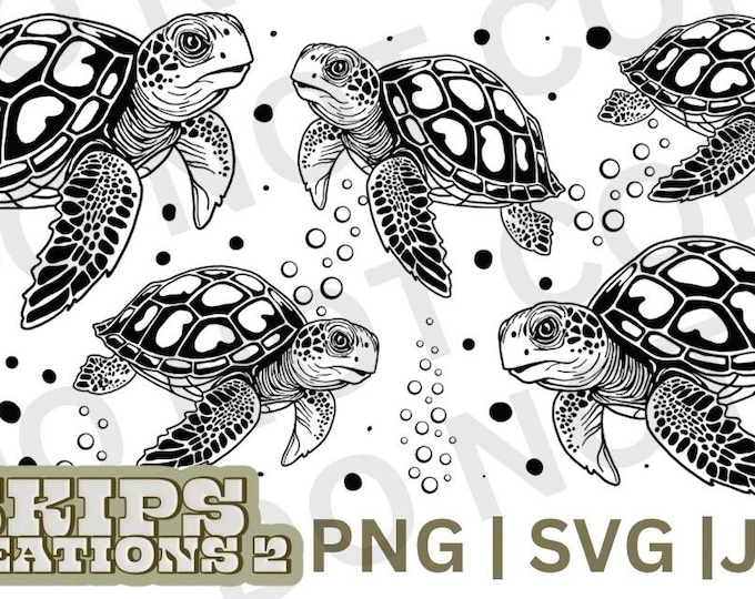 Turtle wrap | under the sea | svg | png | jpg | digital | 40oz wrap