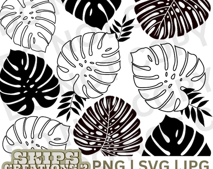 Monstera leaves | svg | png | jpg | digital | 40oz wrap