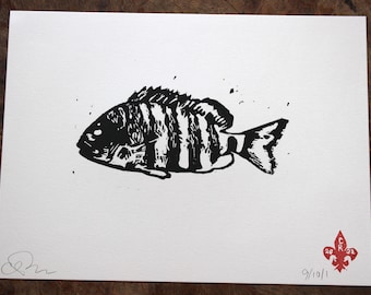 Gulf Coast Sheepshead Fish Linocut Print (Wall Art)