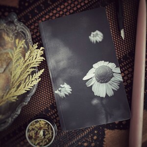 Pocket Notebooks