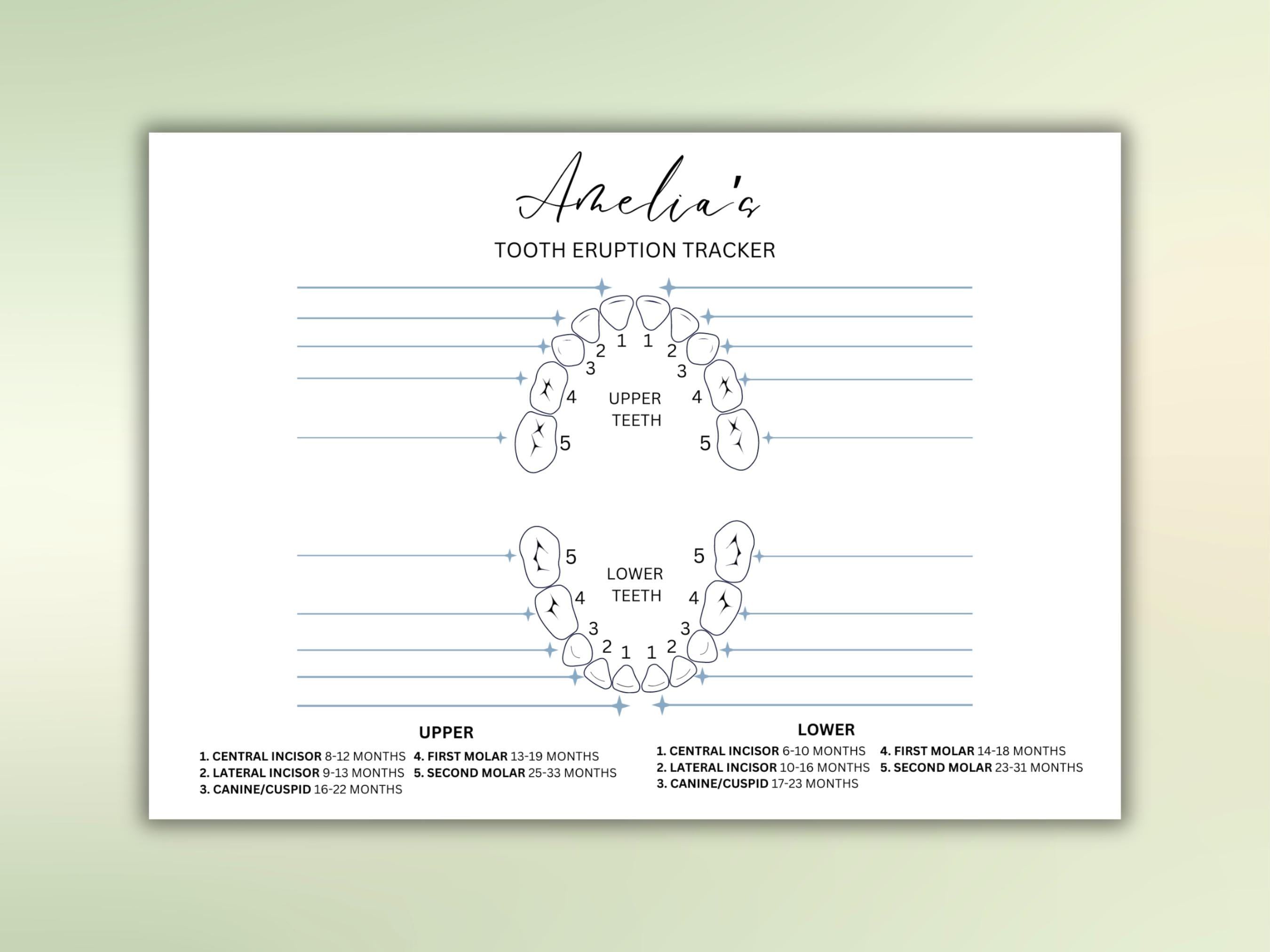 Teething Chart.pdf Baby Teething Record Chart Tooth Eruption and Loss Tracker My Teething ...