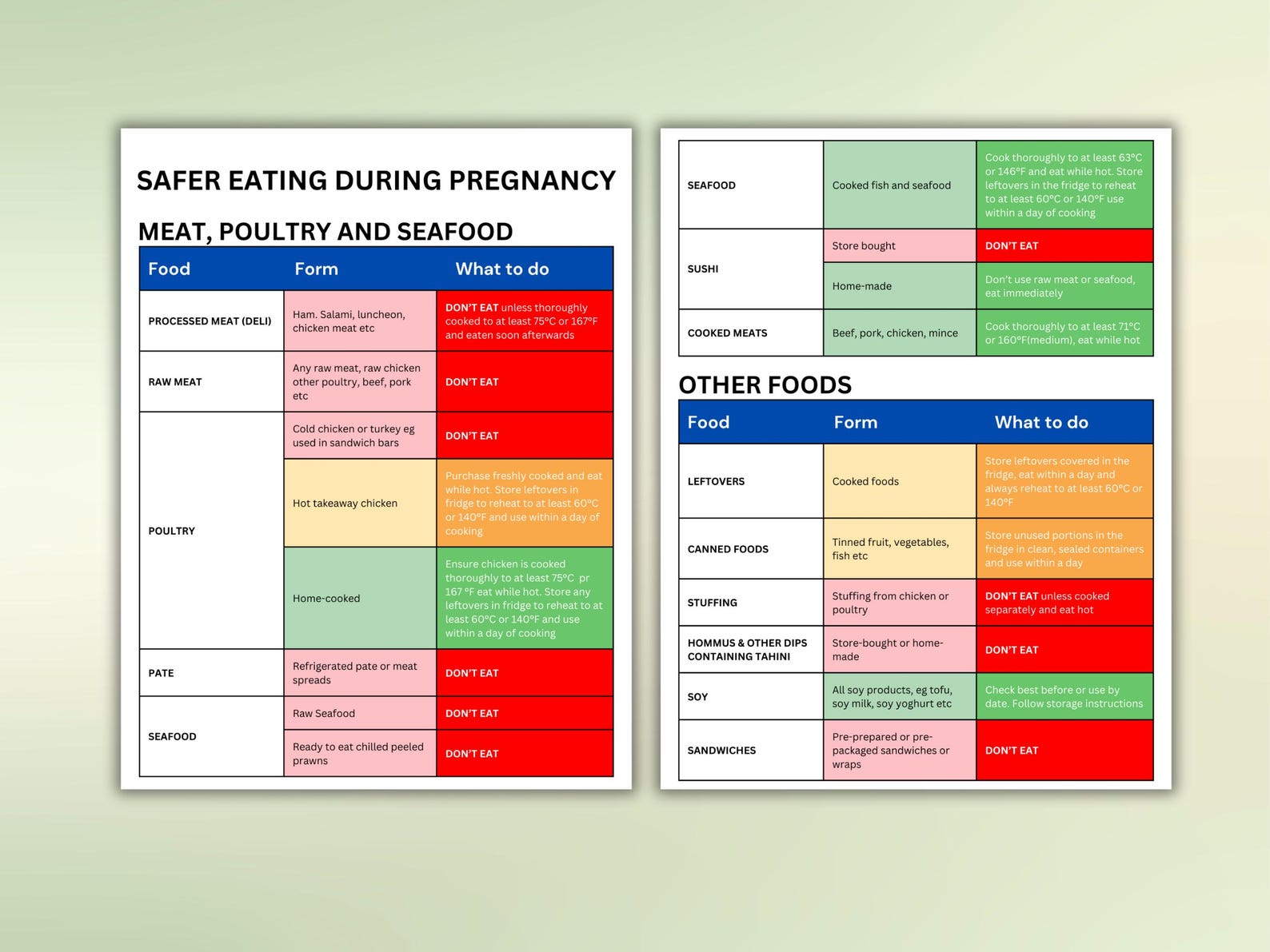 Pregnancy Food Guide List Safe Eating During Pregnancy Booklet Foods to ...