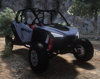 Polaris 2022 rzr (Z3D)