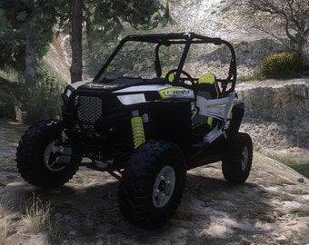 2017 Polaris RZR (Z3D)