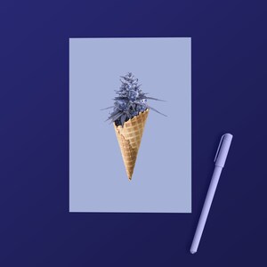 May include: A purple marijuana bud in a waffle cone on a light blue background with a purple pen.