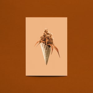 Postales, Arte de helado, Impresión 4x6, Impresión de malezas, Tarjeta de verano, Impresión surrealista, Postales estéticas, Arte mural de verano, Regalo de cannabis, Sativa