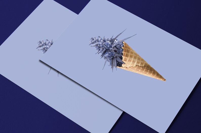 May include: A purple marijuana bud in a waffle cone on a light blue background.