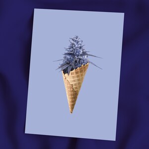 May include: A purple marijuana bud in a waffle cone on a light blue background.