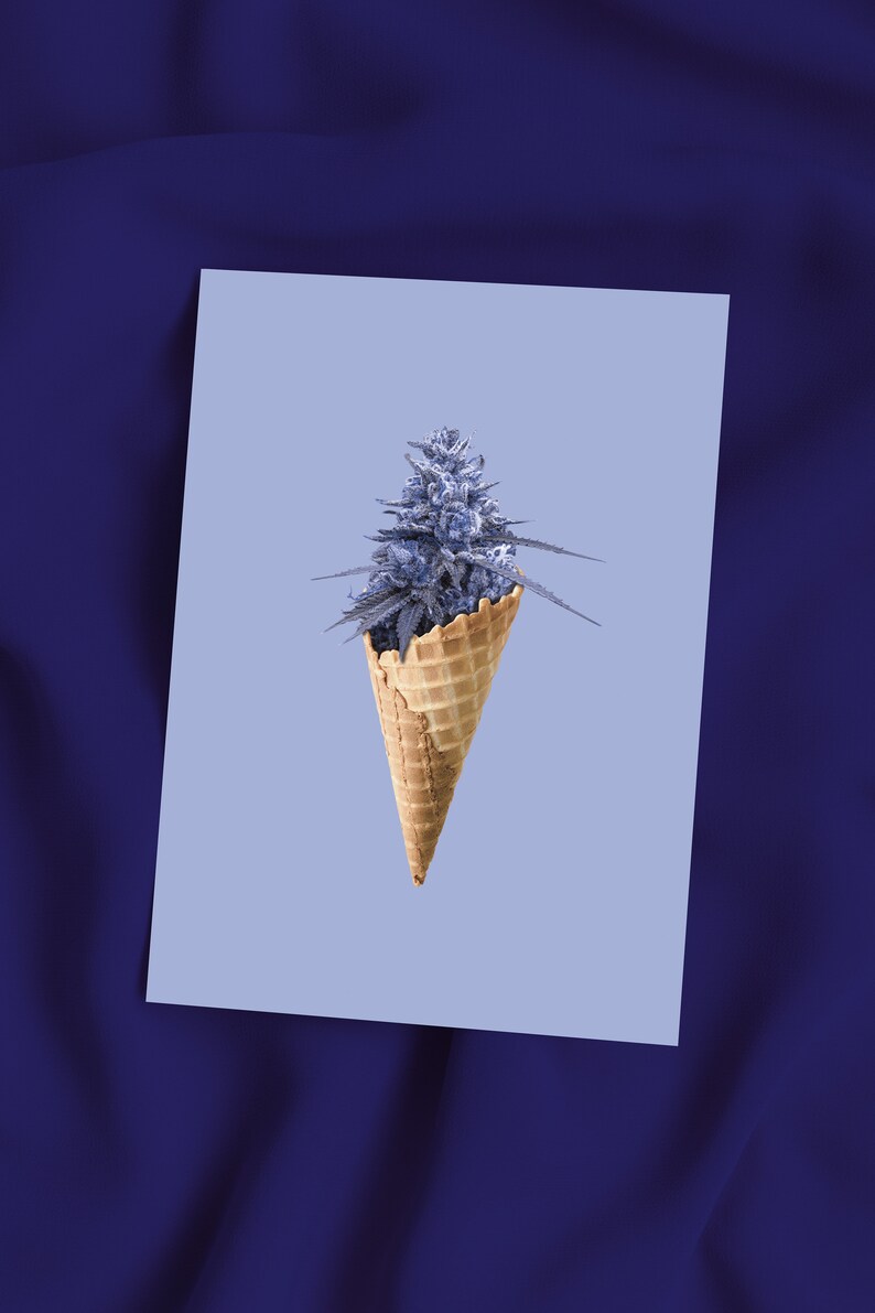 May include: A purple marijuana bud in a waffle cone on a light blue background.