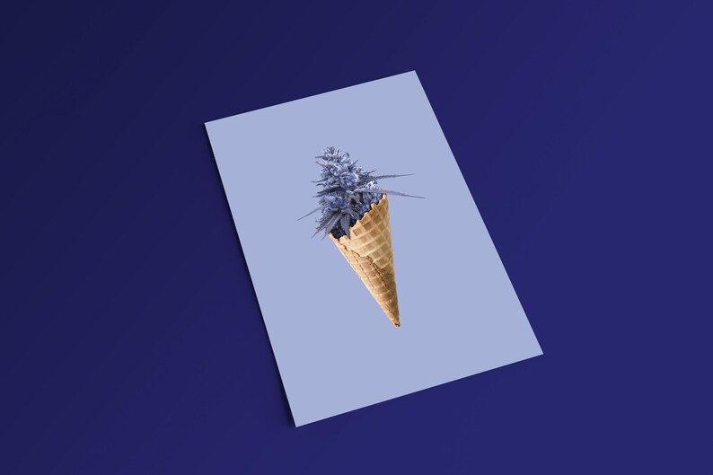 May include: A purple marijuana bud in a waffle cone on a light blue background.