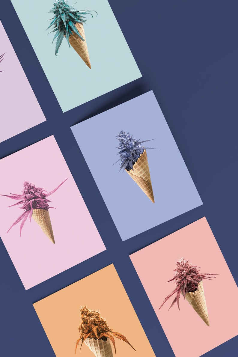 May include: Five different colored marijuana plants are displayed in waffle cones on different colored backgrounds. The colors are blue, purple, pink, orange, and red.